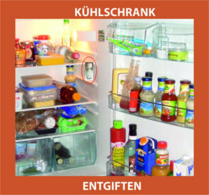 800 Kuehlschrank kompl