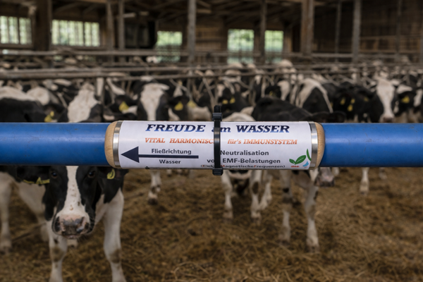 Wasserstab in der Landwirtschaft